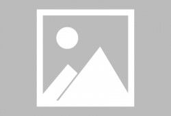 吃瓜的社区网,网络舆论场中的“瓜田”盛景